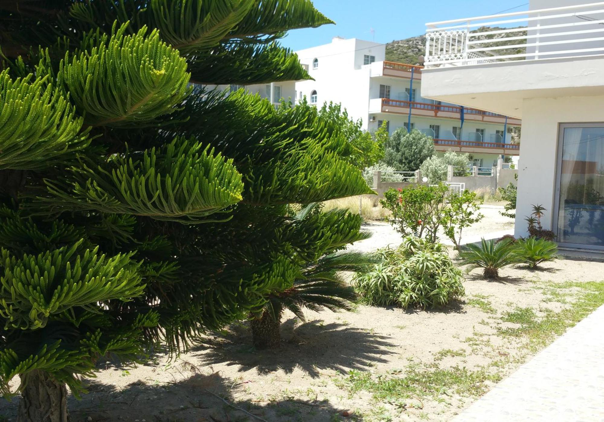 Faliraki Dream Studios & Apartments Exterior photo